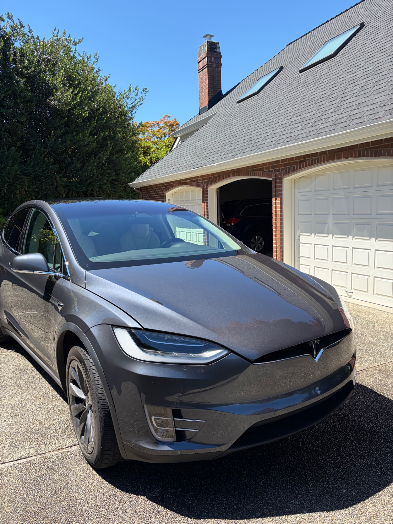 Tesla Model X after exterior detail